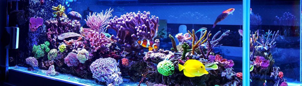 Vivarium beurs in Autotron